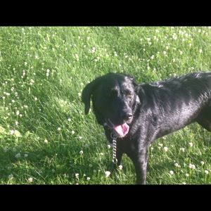 Meet your Posher, Lillian